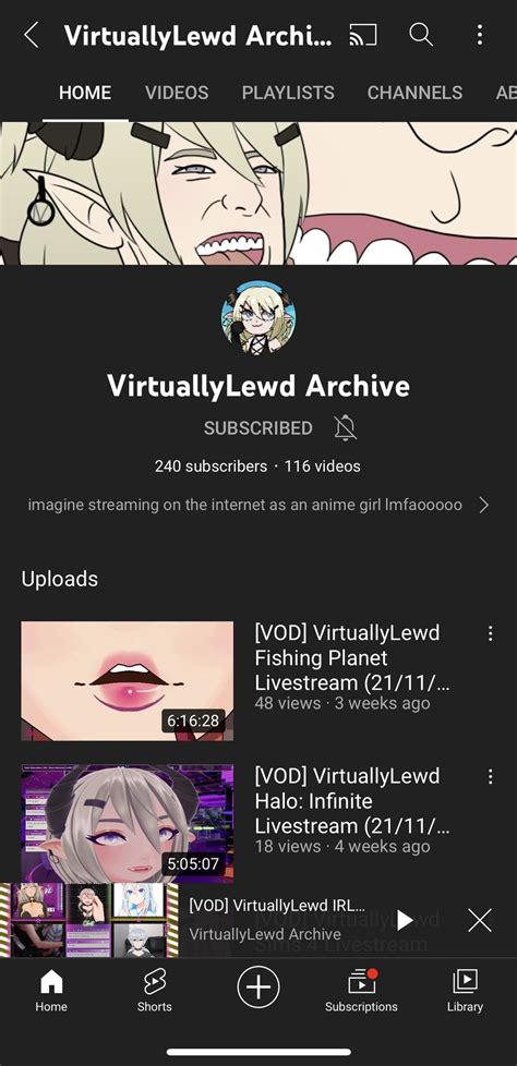 VirtuallyLewd 